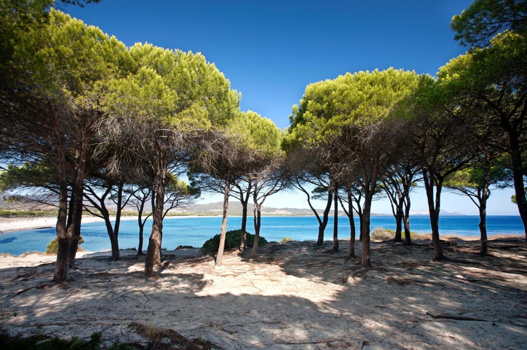 Villetta 1.2 Km Dalla Spiaggia Budoniaffitti Tanaunella Ngoại thất bức ảnh